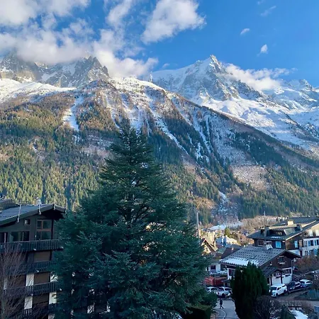 Superbe T3- Vue Mont-blanc- Au Pied Du Brevent- Apartment