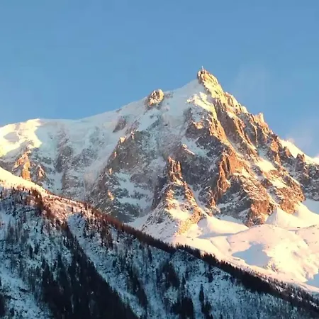 公寓 Superbe T3- Vue Mont-blanc- Au Pied Du Brevent-