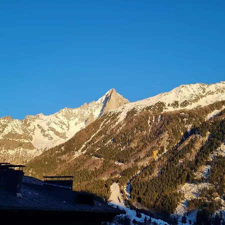 Διαμέρισμα Superbe T3- Vue Mont-blanc- Au Pied Du Brevent- Σαμονί