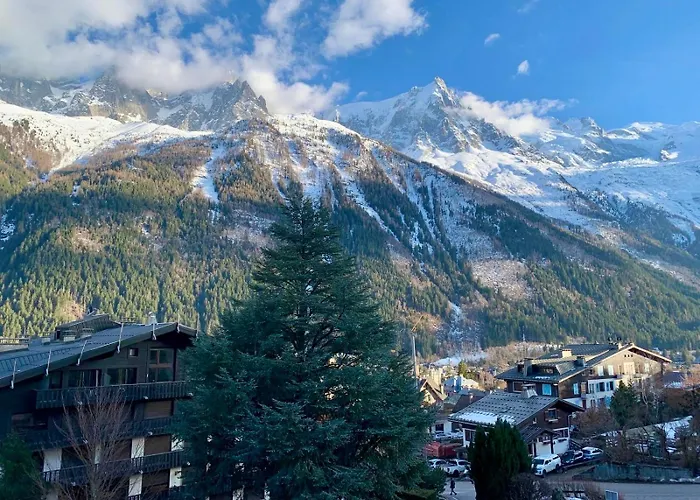 Superbe T3- Vue Mont-blanc- Au Pied Du Brevent- Apartment
