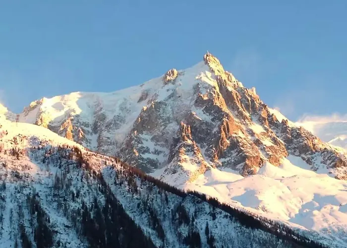 公寓 Superbe T3- Vue Mont-blanc- Au Pied Du Brevent-